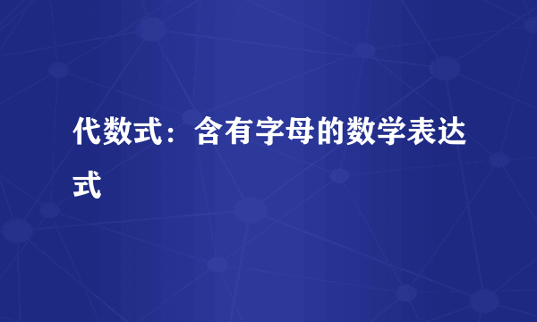 代数式：含有字母的数学表达式