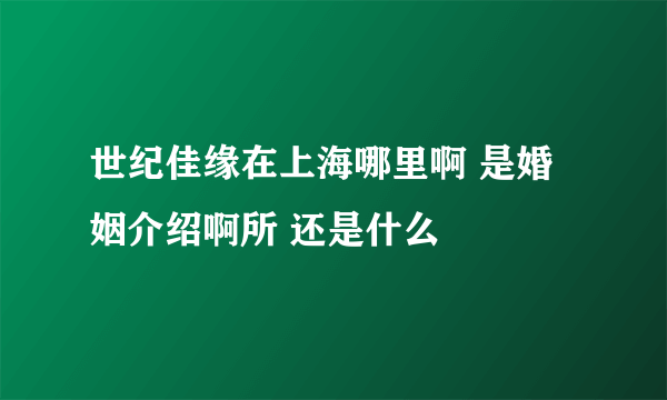 世纪佳缘在上海哪里啊 是婚姻介绍啊所 还是什么