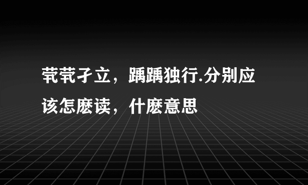 茕茕孑立，踽踽独行.分别应该怎麽读，什麽意思