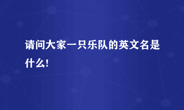 请问大家一只乐队的英文名是什么!