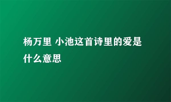 杨万里 小池这首诗里的爱是什么意思