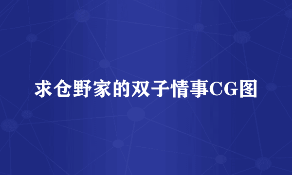 求仓野家的双子情事CG图