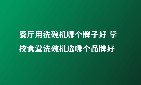 餐厅用洗碗机哪个牌子好 学校食堂洗碗机选哪个品牌好