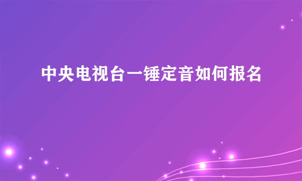 中央电视台一锤定音如何报名