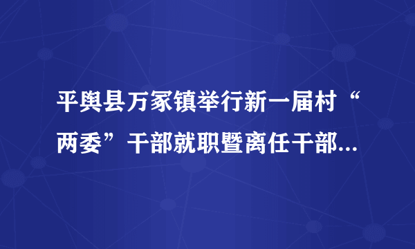 平舆县万冢镇举行新一届村“两委”干部就职暨离任干部荣退仪式