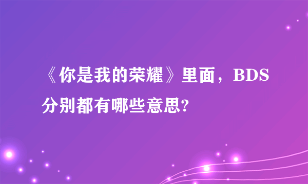 《你是我的荣耀》里面，BDS分别都有哪些意思?