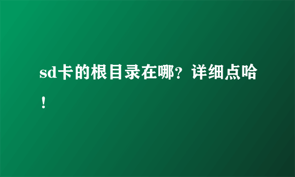 sd卡的根目录在哪？详细点哈！