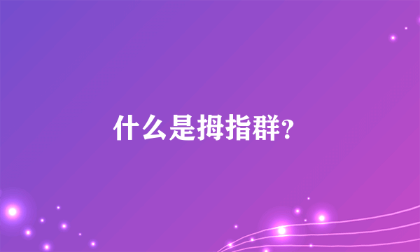 什么是拇指群？