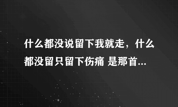 什么都没说留下我就走，什么都没留只留下伤痛 是那首网络歌的歌词