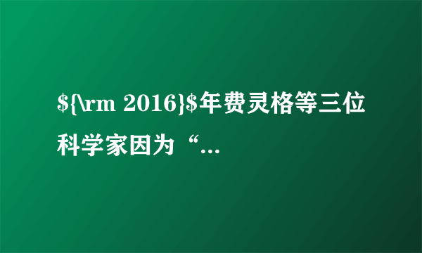 ${\rm 2016}$年费灵格等三位科学家因为“分子机器的设计与合成”获得诺贝尔化学奖。他们发明了“全世界最小的机器”，驱动装置是一种微型马达，它依靠细胞内化学反应提供能量的高能分子三磷酸腺苷${\rm (ATP)}$为能源。下列关于三磷酸腺苷【${\rm C_{10}H_{16}N_{5}O_{13}P_{3}}$】叙述正确的是（　　）A.三磷酸腺苷含有原子总数为${\rm 47}$个C.三磷酸腺苷中氧元素含量最高B.碳、氢、氧三种元素质量比是${\rm 10: 16: 13}$D.属于氧化物