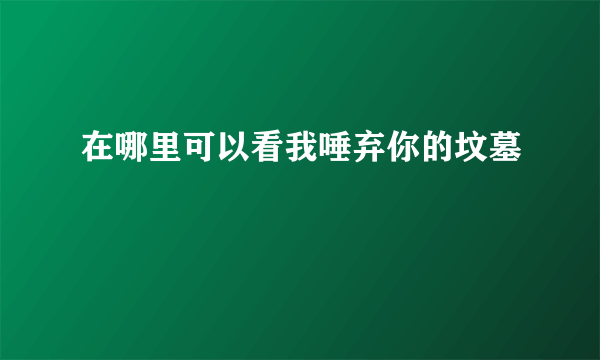 在哪里可以看我唾弃你的坟墓