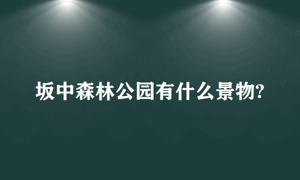 坂中森林公园有什么景物?