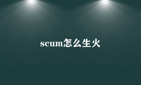 scum怎么生火