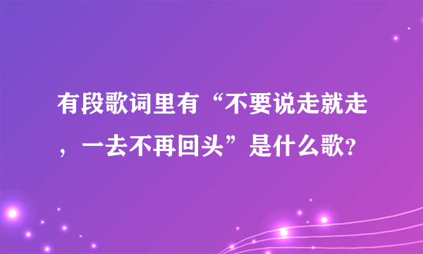 有段歌词里有“不要说走就走，一去不再回头”是什么歌？