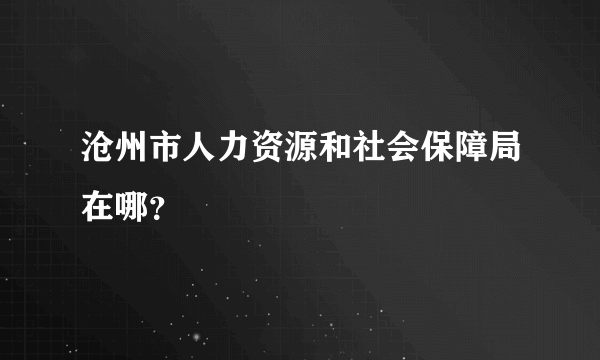 沧州市人力资源和社会保障局在哪？