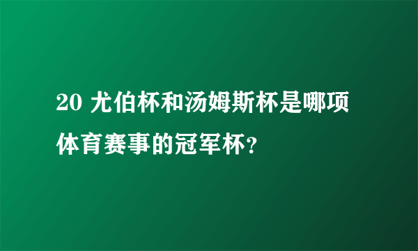 20 尤伯杯和汤姆斯杯是哪项体育赛事的冠军杯？