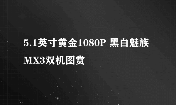 5.1英寸黄金1080P 黑白魅族MX3双机图赏