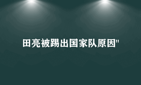 田亮被踢出国家队原因