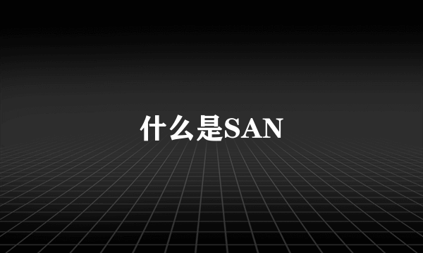 什么是SAN