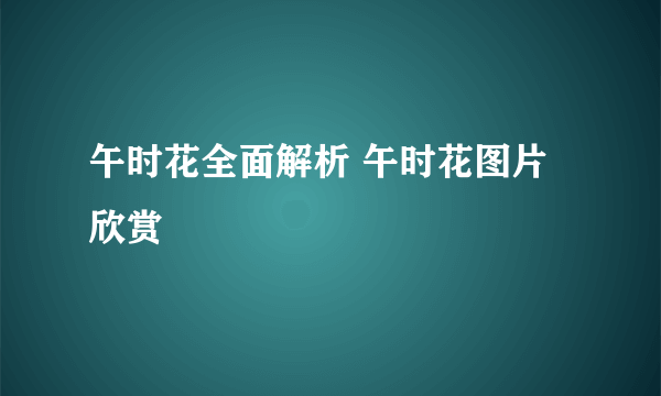 午时花全面解析 午时花图片欣赏