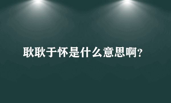 耿耿于怀是什么意思啊？