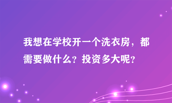 我想在学校开一个洗衣房，都需要做什么？投资多大呢？