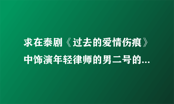 求在泰剧《过去的爱情伤痕》中饰演年轻律师的男二号的详细资料...