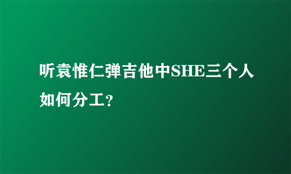 听袁惟仁弹吉他中SHE三个人如何分工？