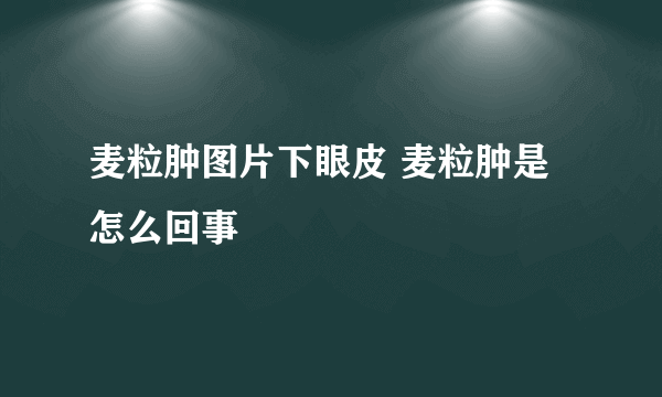 麦粒肿图片下眼皮 麦粒肿是怎么回事