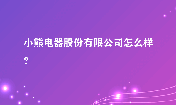 小熊电器股份有限公司怎么样？