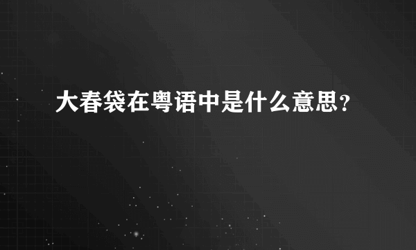 大春袋在粤语中是什么意思？