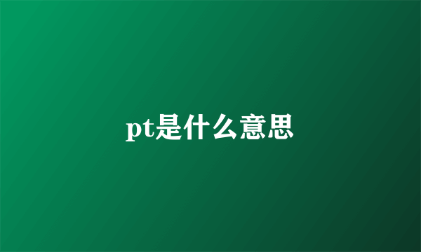 pt是什么意思