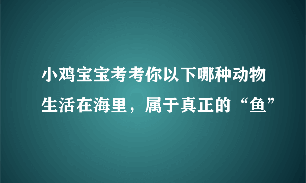 小鸡宝宝考考你以下哪种动物生活在海里，属于真正的“鱼”