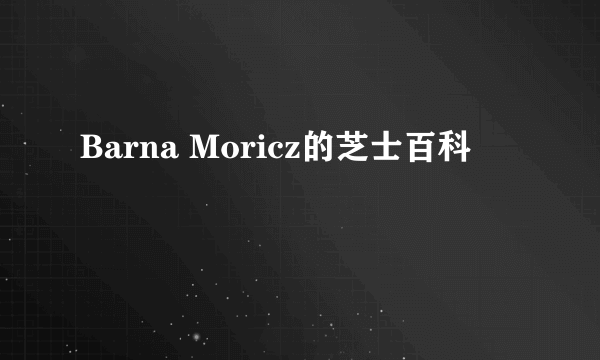 Barna Moricz的芝士百科