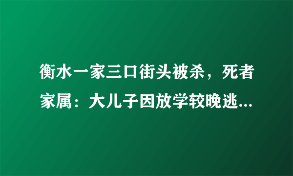 衡水一家三口街头被杀，死者家属：大儿子因放学较晚逃过此劫, 你怎么看？