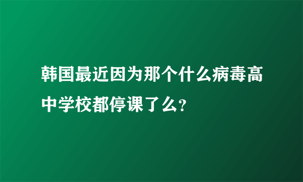 韩国最近因为那个什么病毒高中学校都停课了么？