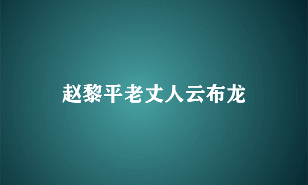 赵黎平老丈人云布龙