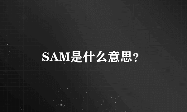 SAM是什么意思？