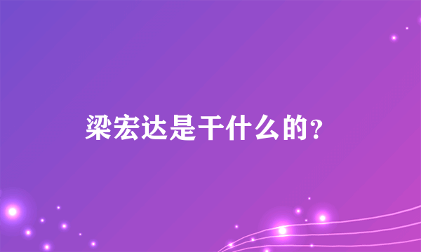 梁宏达是干什么的？