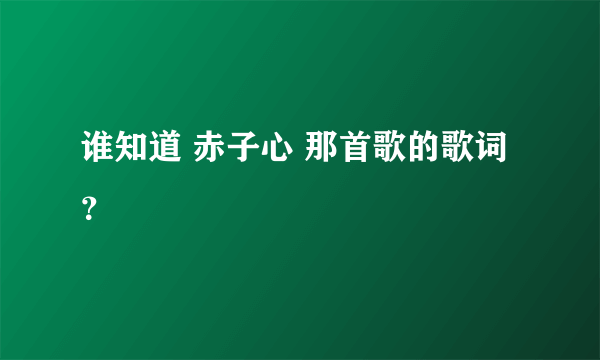 谁知道 赤子心 那首歌的歌词？