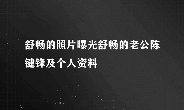 舒畅的照片曝光舒畅的老公陈键锋及个人资料