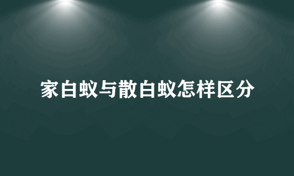 家白蚁与散白蚁怎样区分