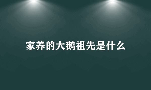 家养的大鹅祖先是什么