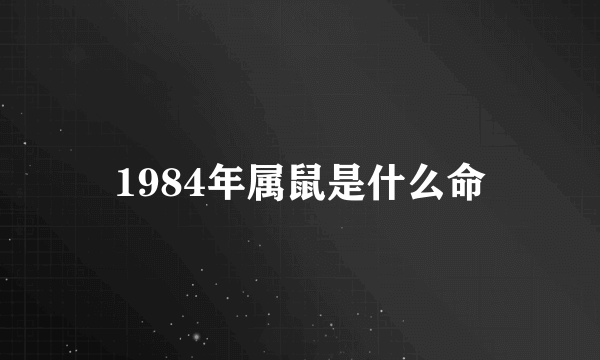 1984年属鼠是什么命