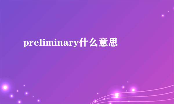 preliminary什么意思