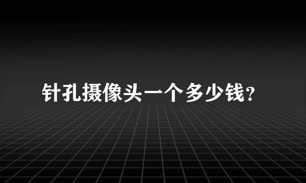 针孔摄像头一个多少钱？