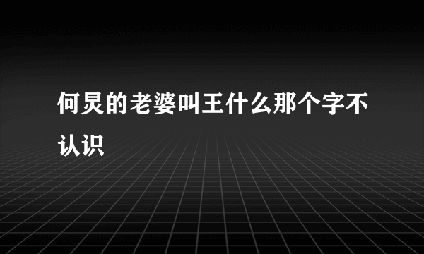 何炅的老婆叫王什么那个字不认识