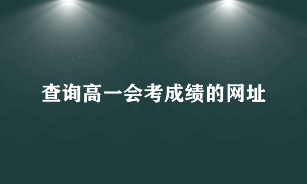 查询高一会考成绩的网址