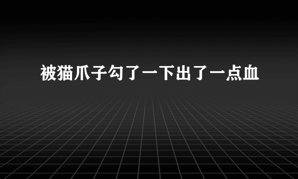 被猫爪子勾了一下出了一点血