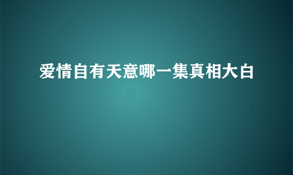 爱情自有天意哪一集真相大白